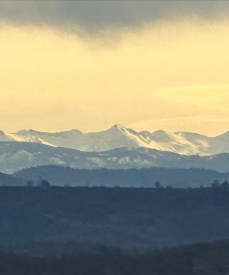 Yudron's profile header