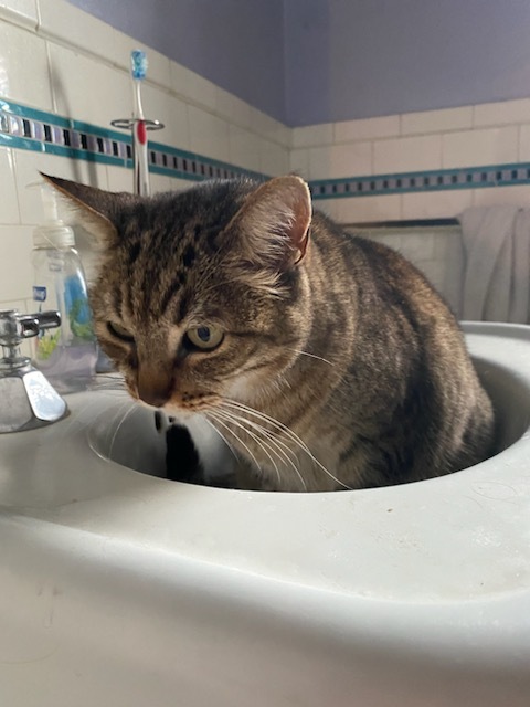 kazpertheghost's profile header