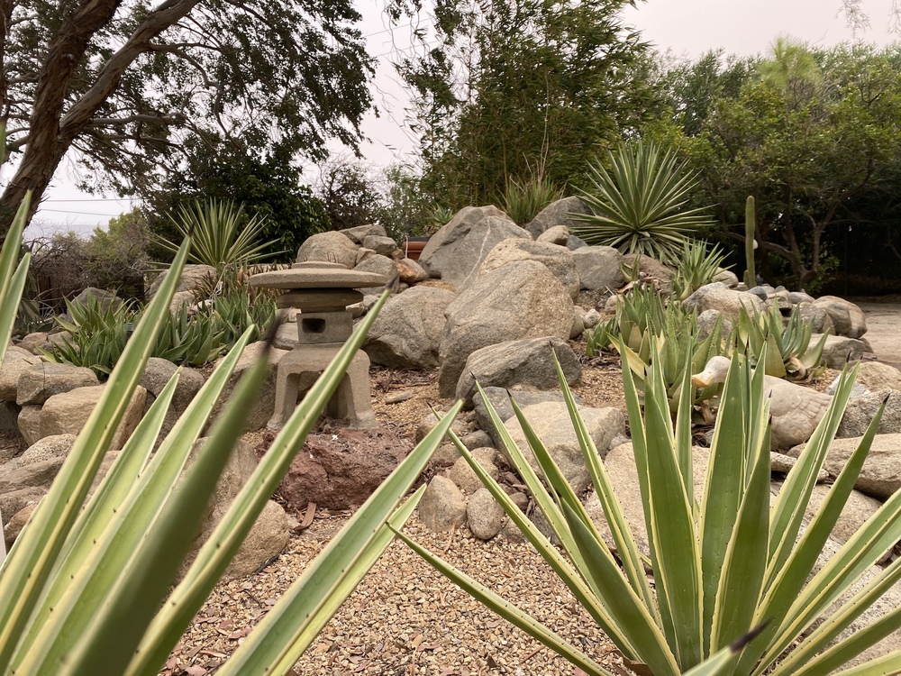 danomite's profile header