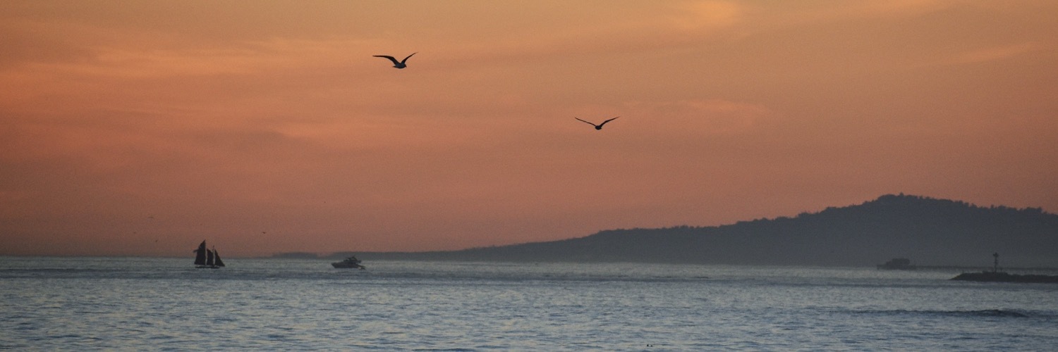 jchvz's profile header