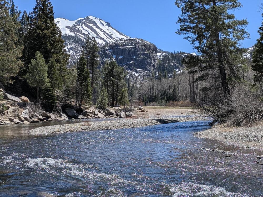 mrliebenberg's profile header