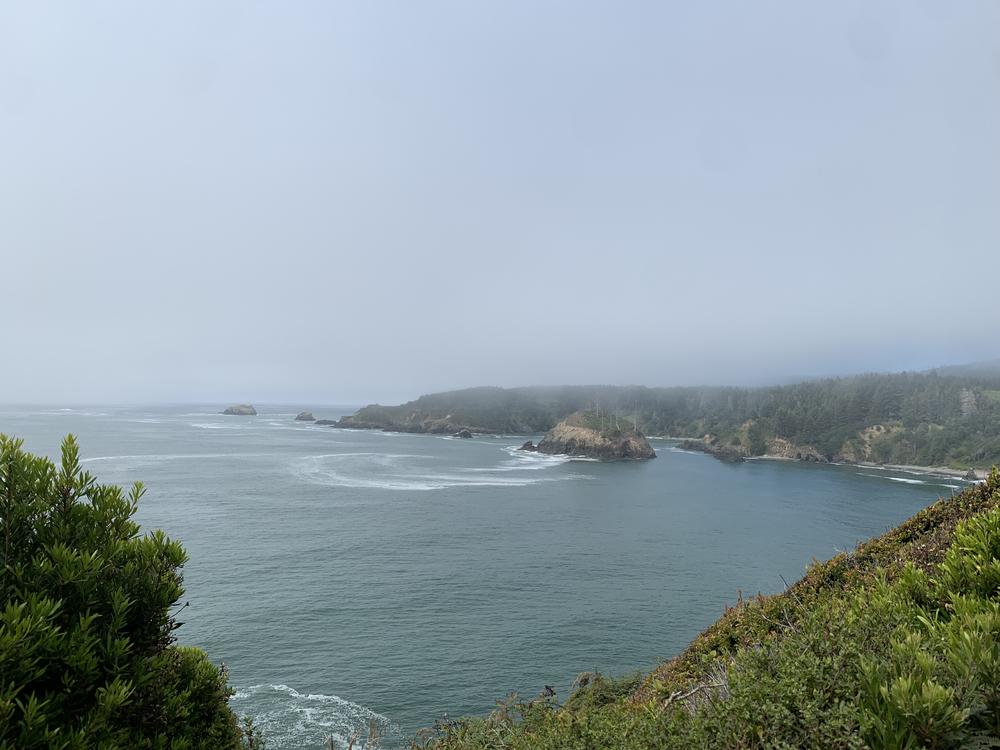 Rondiroo's profile header