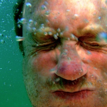 chockenberry's avatar