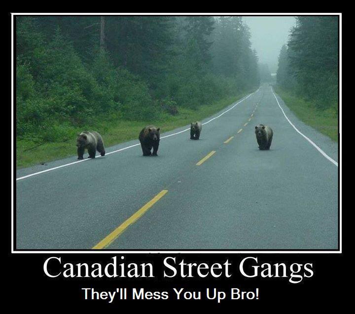 MeanwhileinCanada's profile header