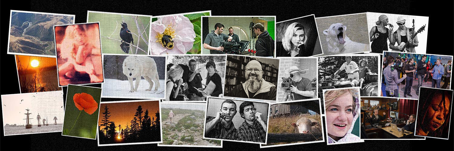 CStamp's profile header