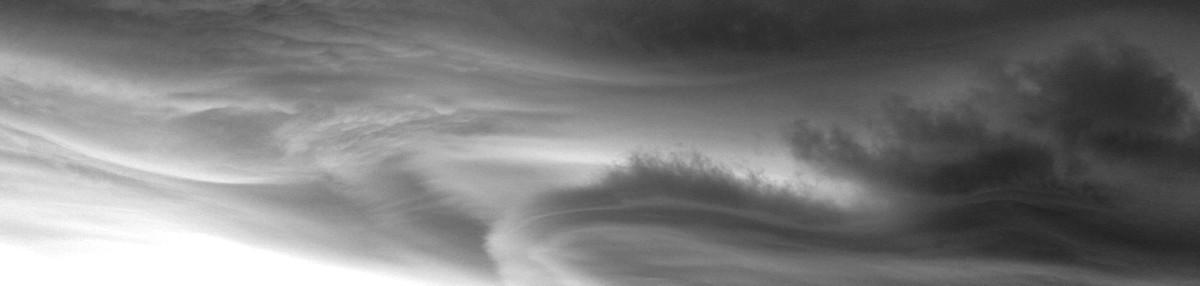 Bette's profile header