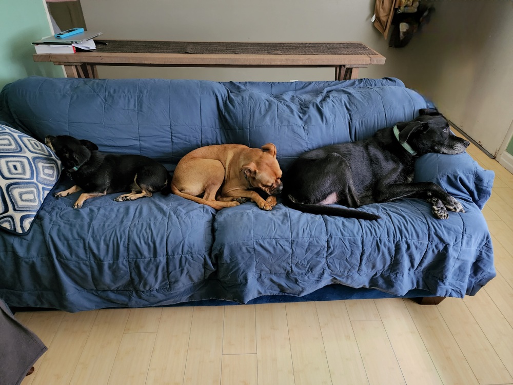 That_One_Guy's profile header