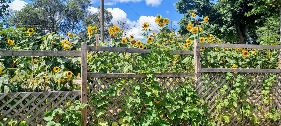 EricPaulDennis's profile header