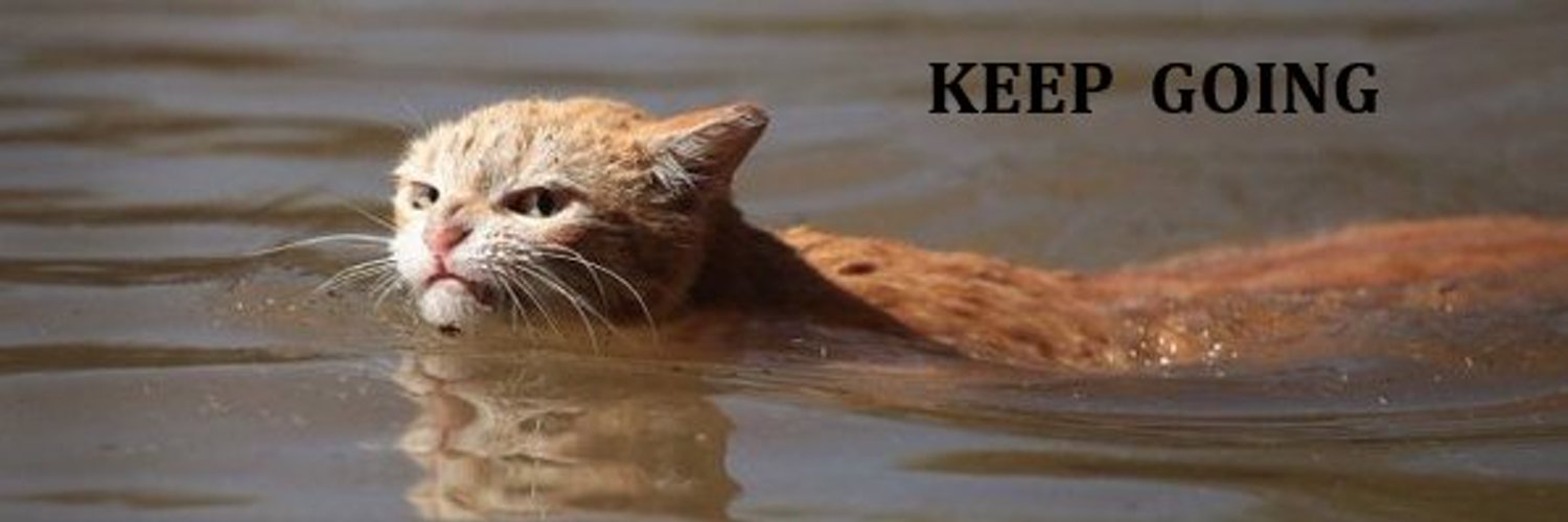 ncw413's profile header