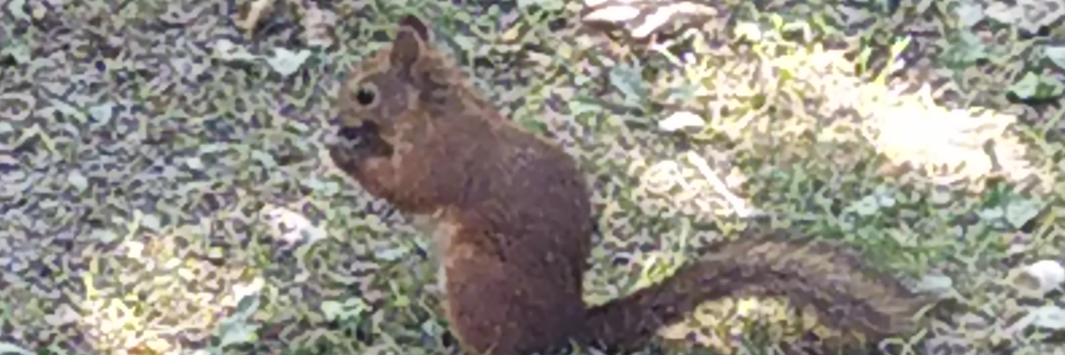 jautero's profile header