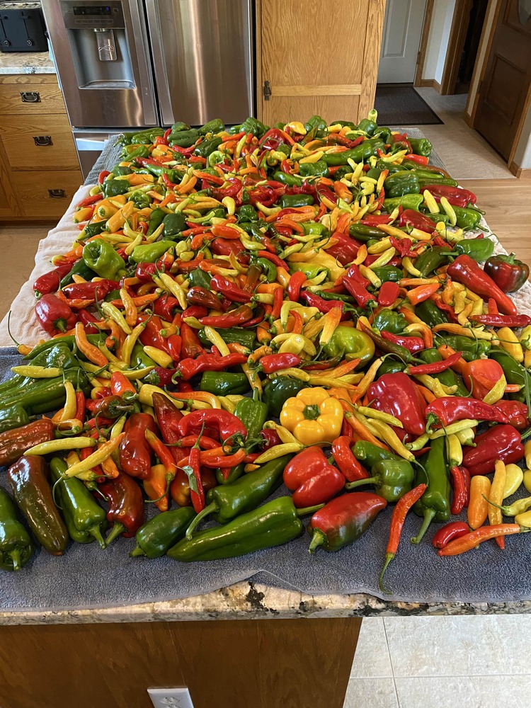 Pollinators's profile header