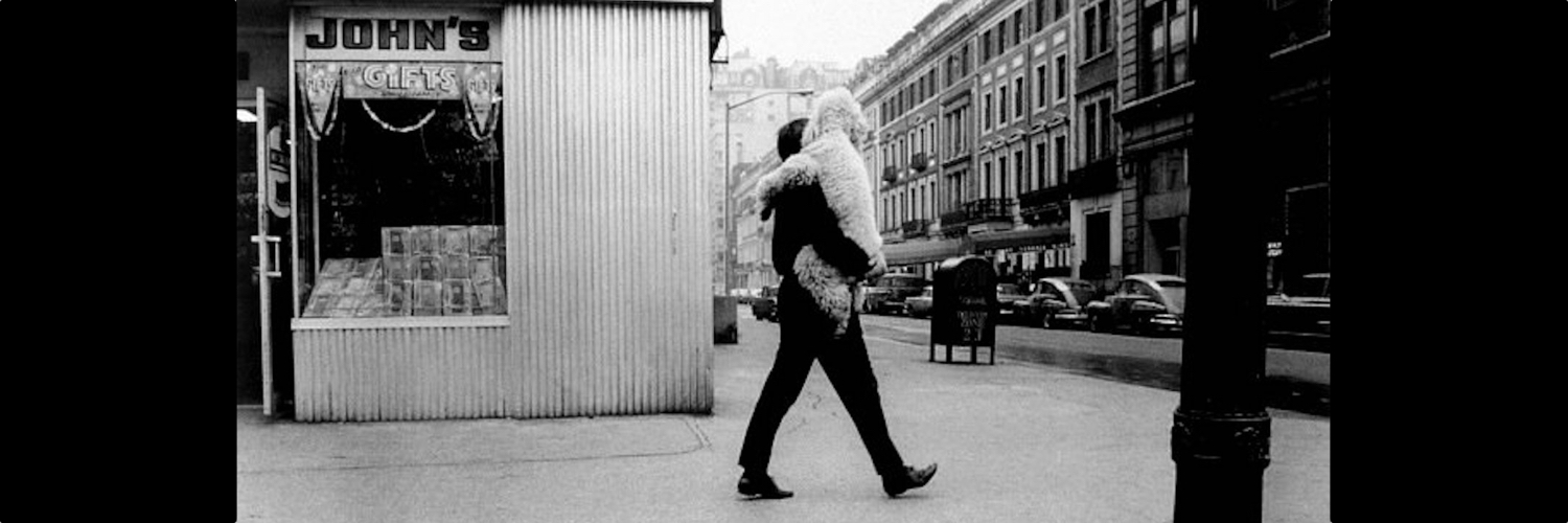 Moltz's profile header