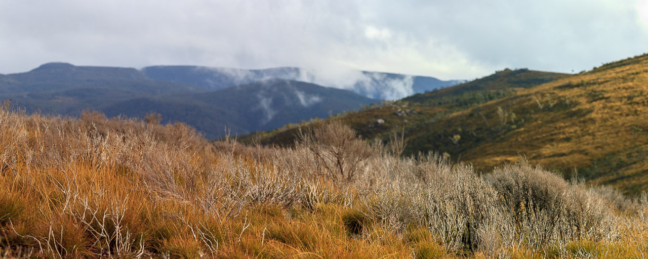 david's profile header