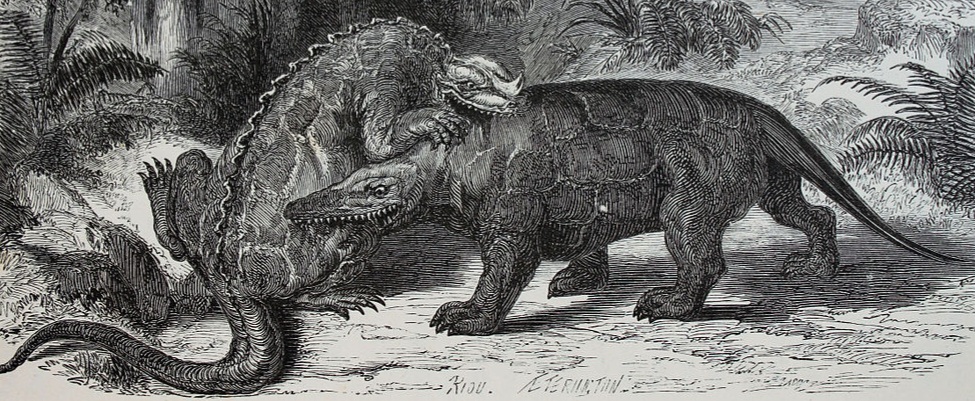 theropologist's profile header