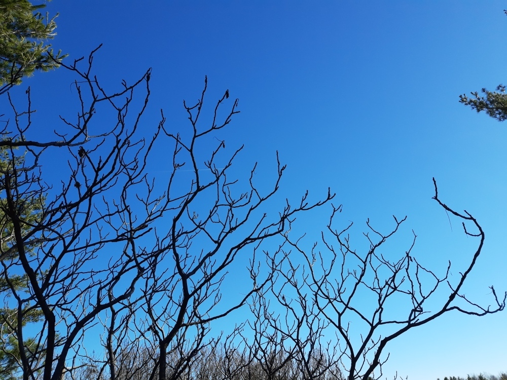 vlrny's profile header