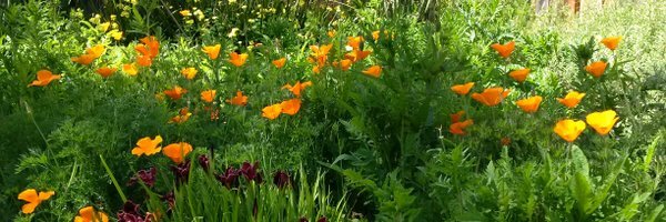 lauerhahn's profile header