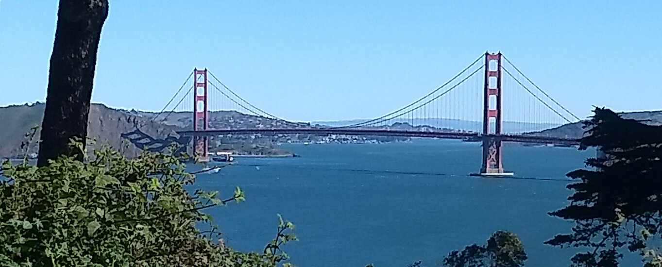 gam3's profile header