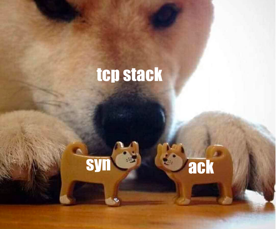 i0null's profile header