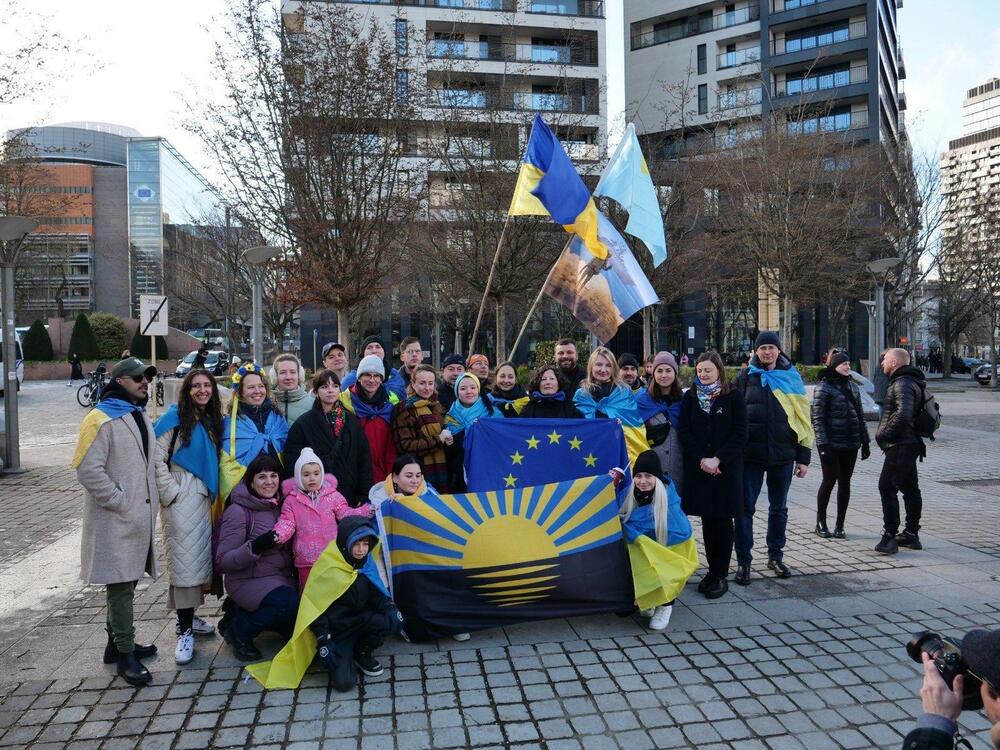 AliceStollmeyer's profile header