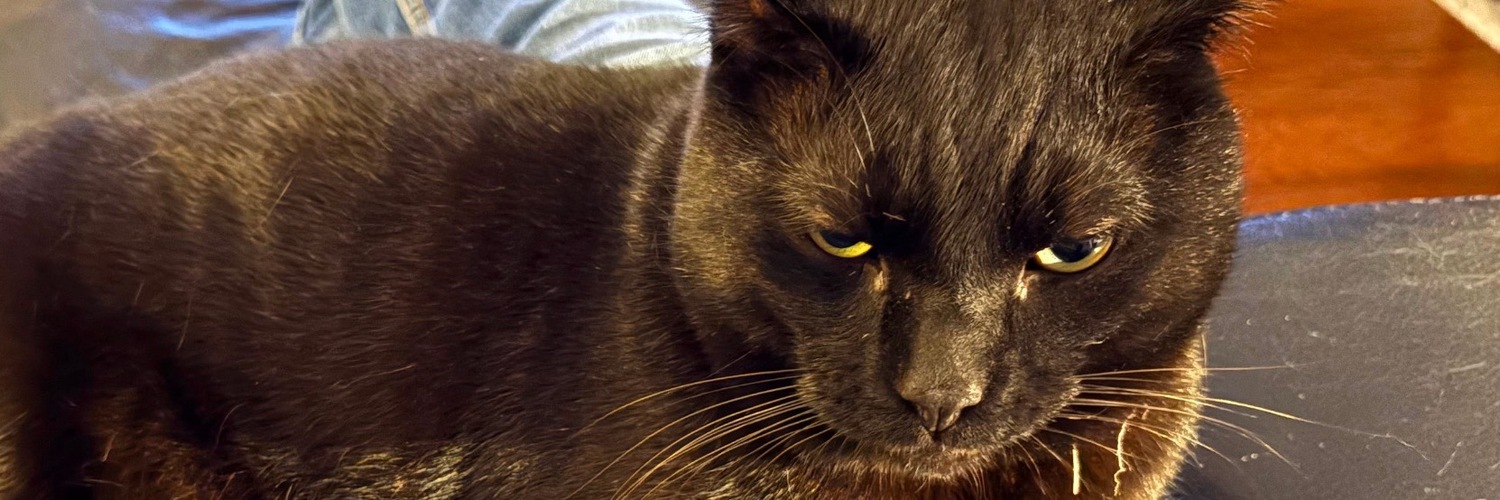 catsrule0000's profile header