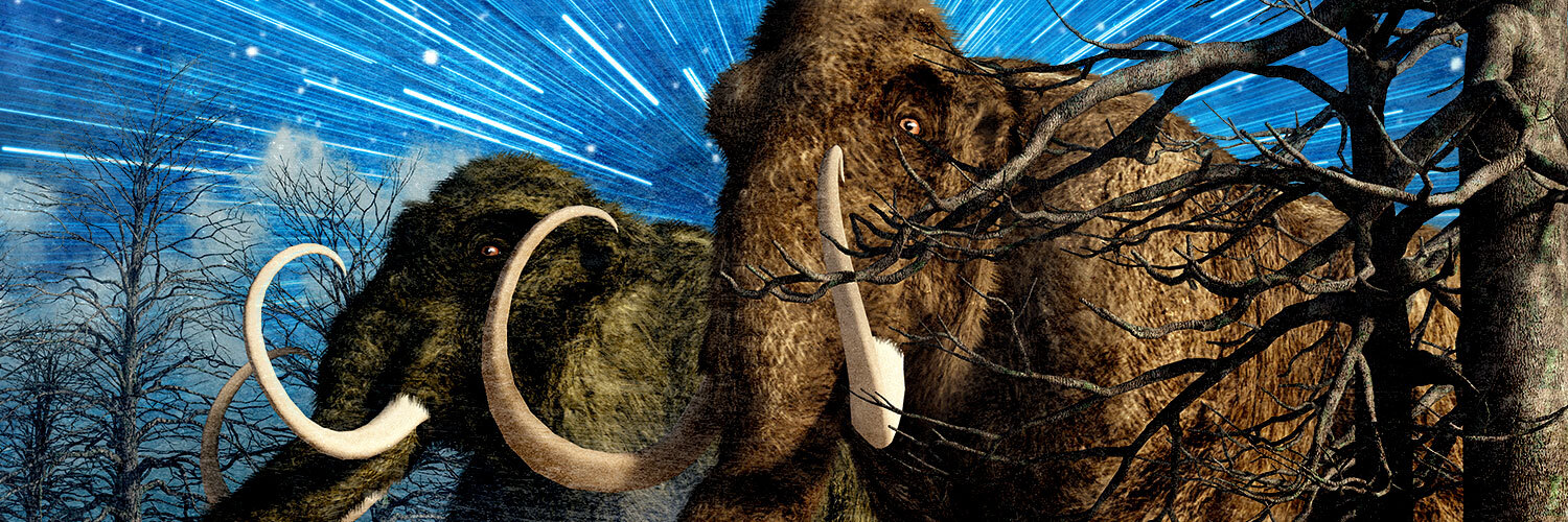 arstechnica's profile header