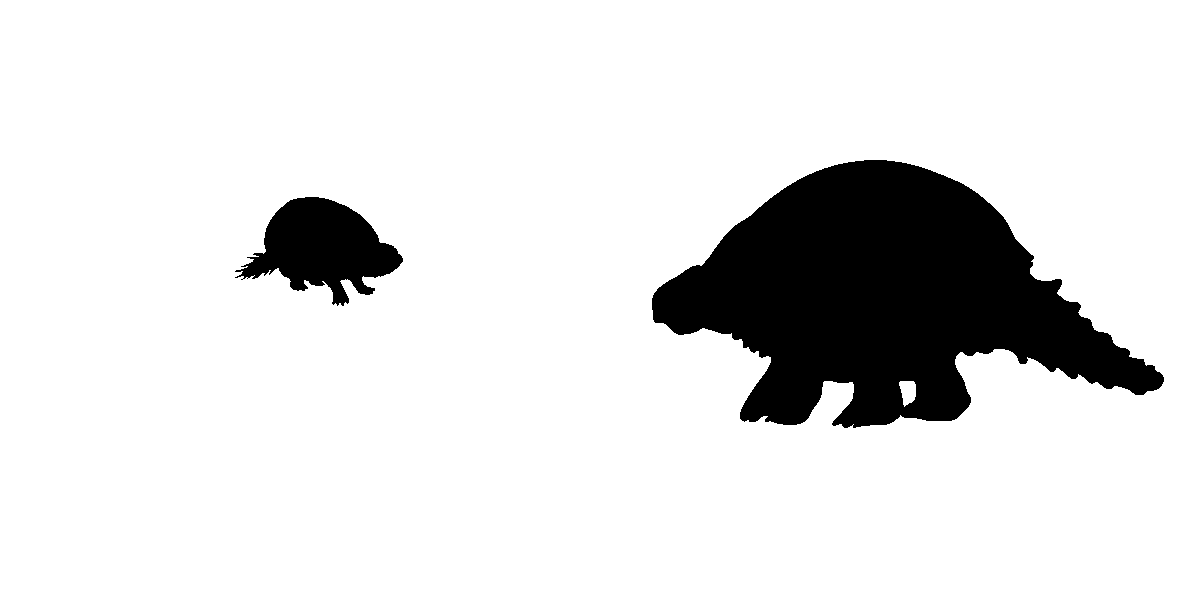 benroyce's profile header