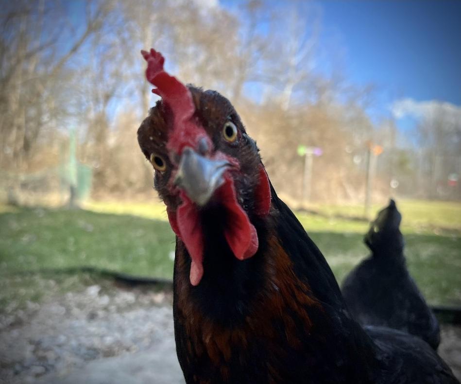 bebadefabo's profile header