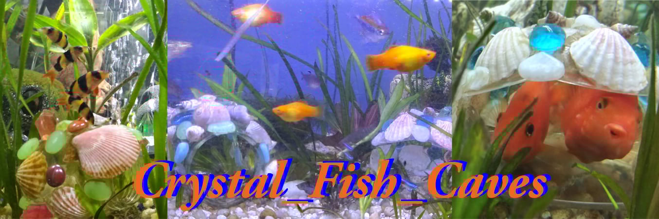 Crystal_Fish_Caves's profile header