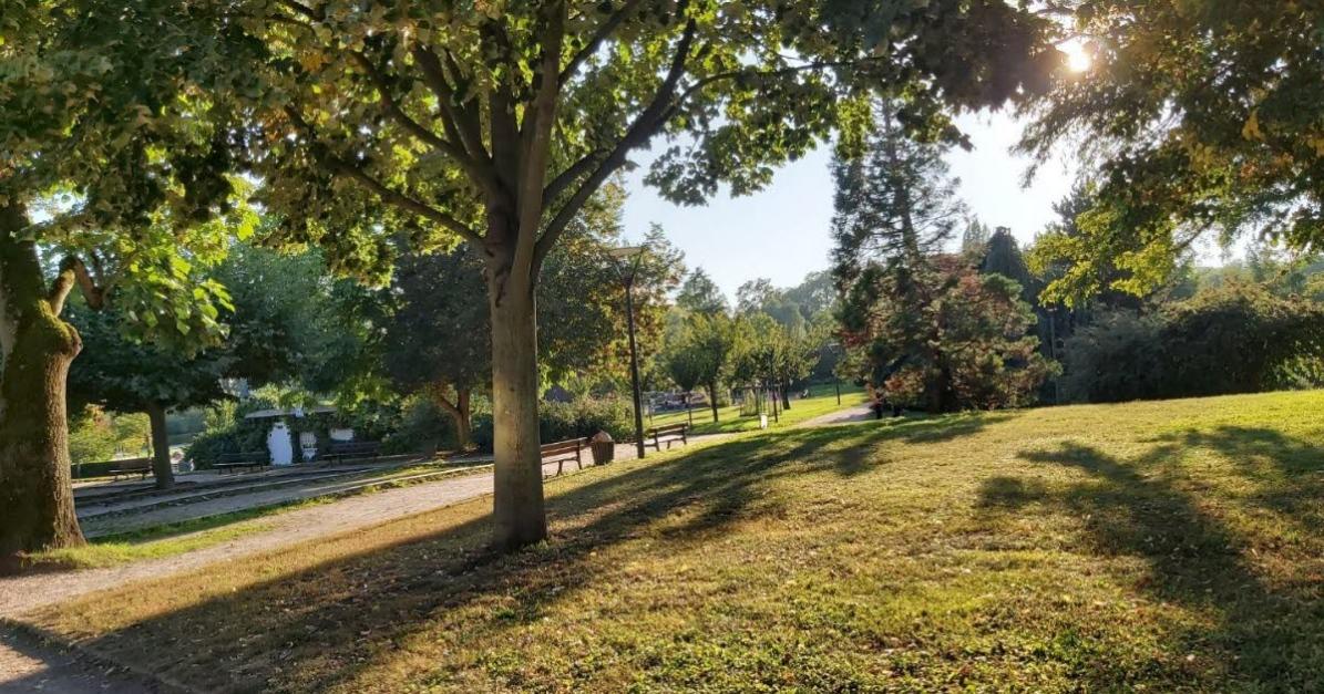 antykyles's profile header