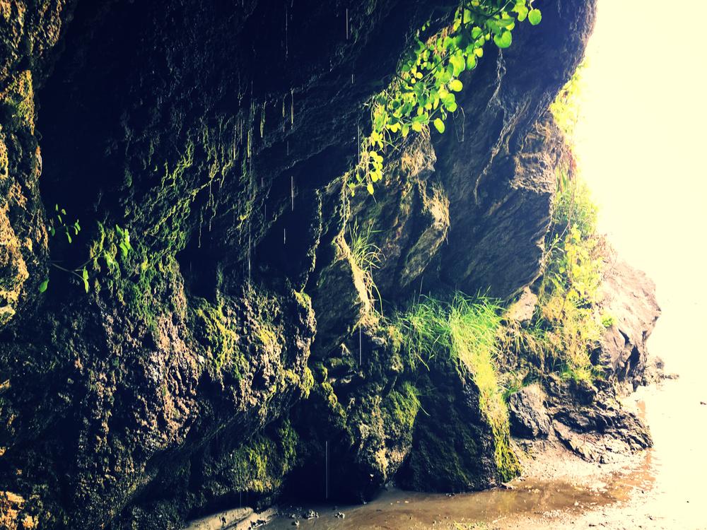 hagaesthetic's profile header