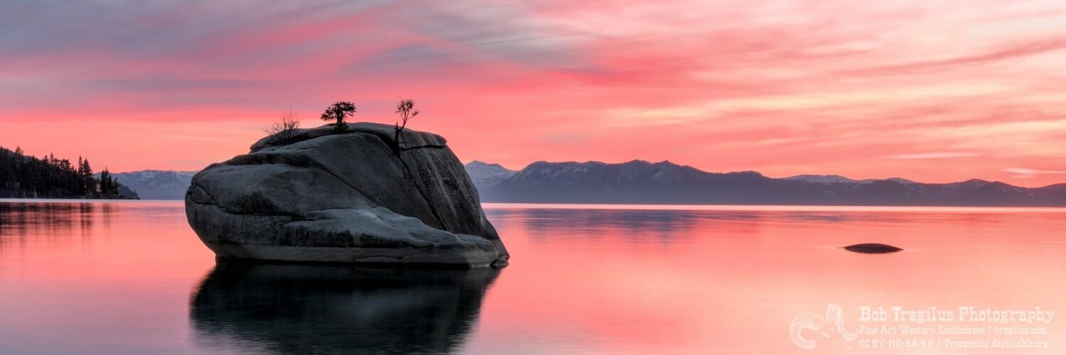 elaterite's profile header