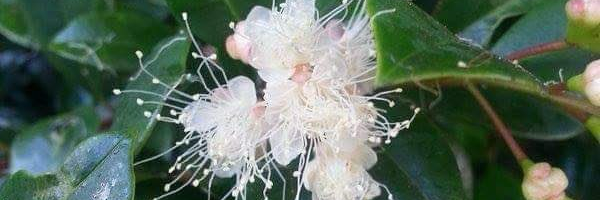 mabelmakesthings's profile header