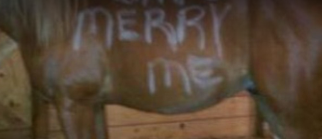 amutepiggy's profile header