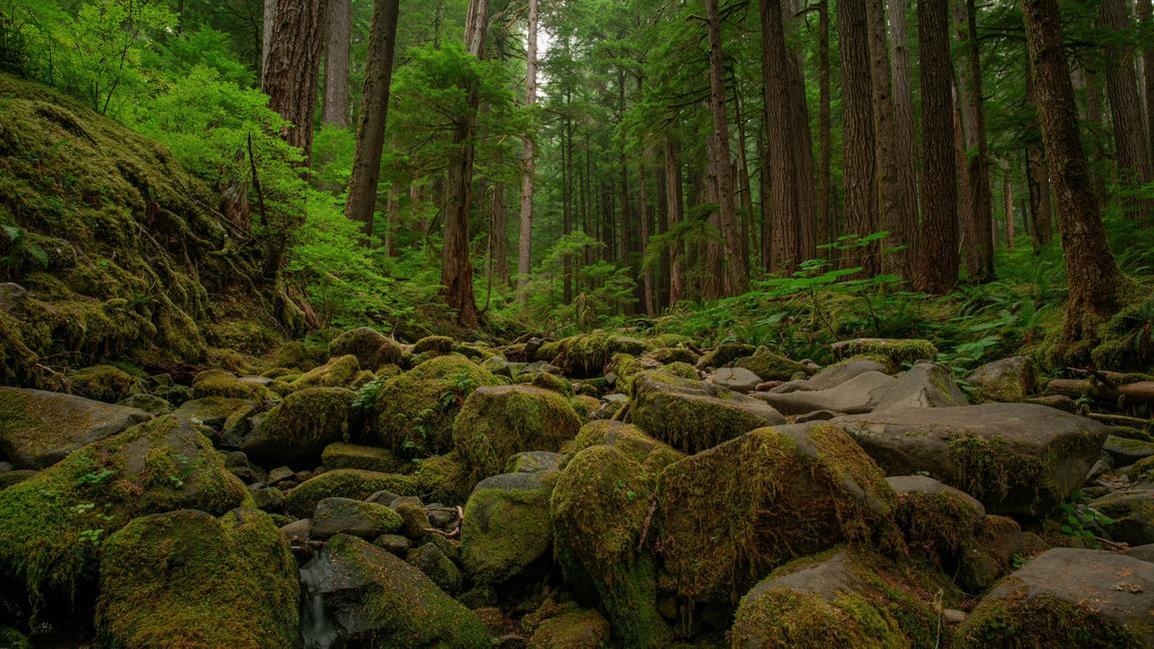 randywalters's profile header