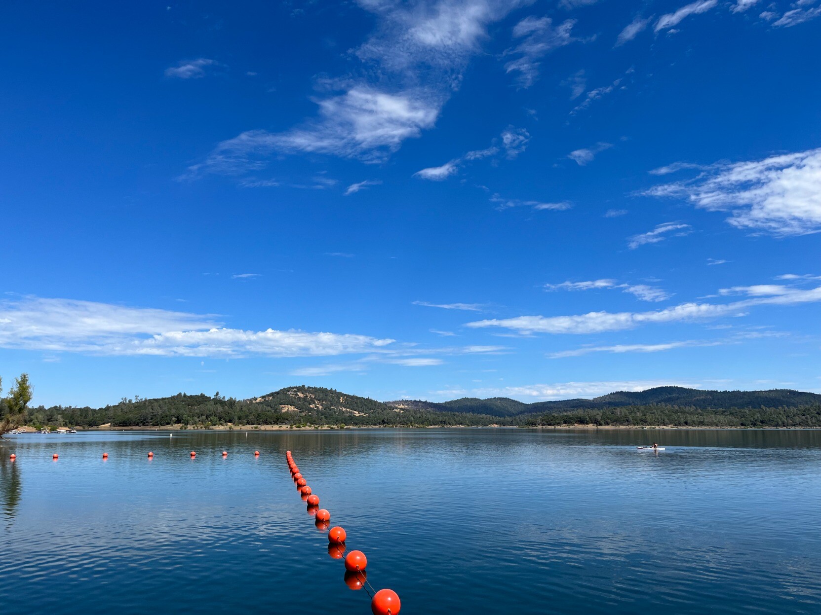 Collins Lake (collinslakenorcal.social) NorCal.social